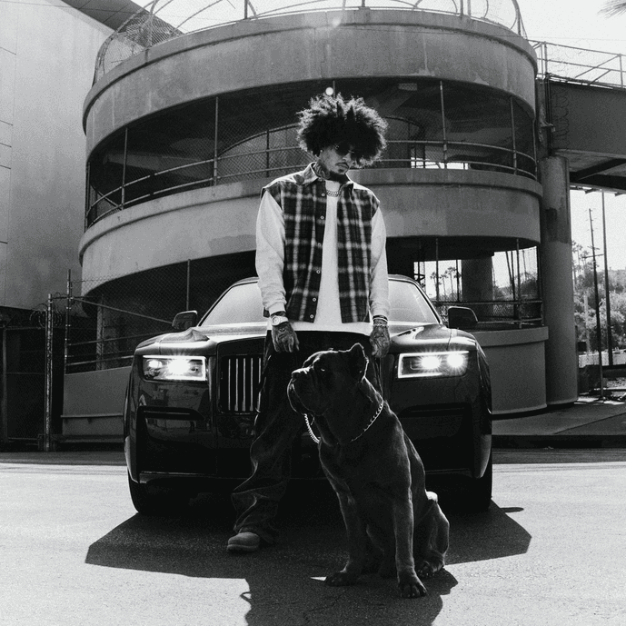 Cover art 8